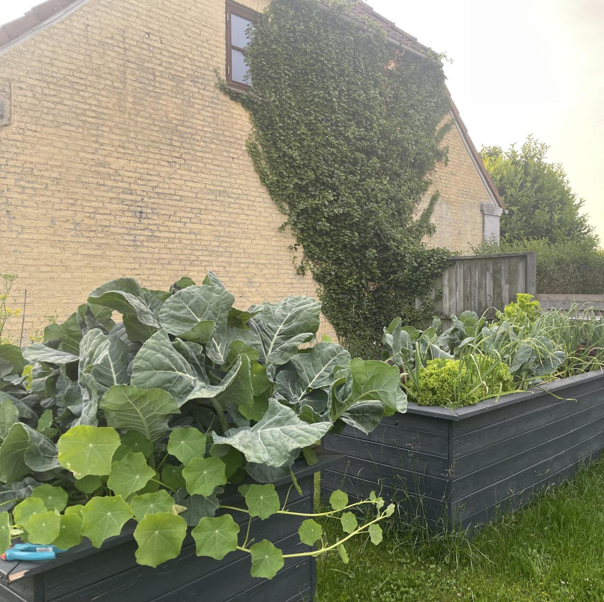 Jygge- Hyggelige Ferienwohnung Nordborg Buitenkant foto